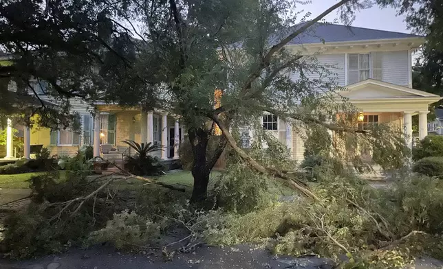 A mangled tree blocks covers part of the street in front of a house in New Orleans' Carrollton neighborhood as Hurricane Francine hit the city with high winds and flooding rain on Thursday, Sept. 12, 2024. (AP Photo/Kevin McGill)