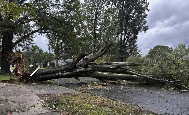 A downed tree blocks Eastway Drive in Charlotte, N.C., as Hurricane Helene moved across the area Friday, Sept. 27, 2024. (Diamond Vances/The Charlotte Observer via AP)