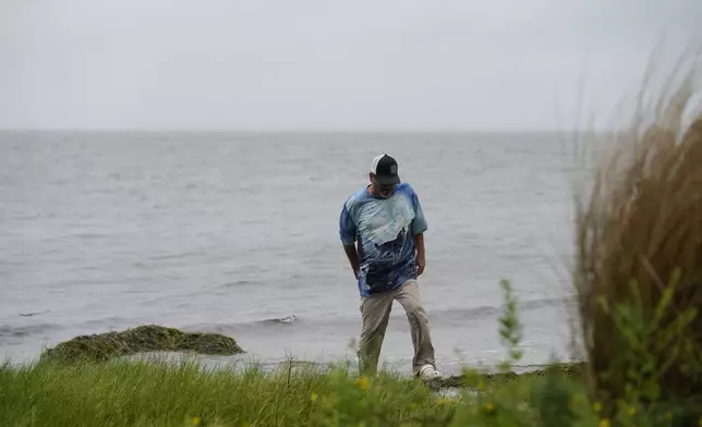 Bob Danzey, a resident, walks at the waters edge ahead of Hurricane Helene, expected to make landfall here today, in Shell Point Beach, Fla., Thursday, Sept. 26, 2024. (AP Photo/Gerald Herbert)