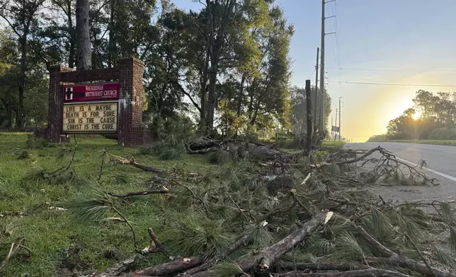 Fallen pine trees litter the grounds of Waukeenah Methodist Church in Monticello, Fla. on Sunday, Sept. 29, 2024. (AP Photo/Kate Payne)