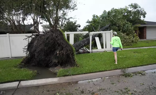 Kim Haines surveys a tree that fell on. Her neighbor's house in the aftermath of Hurricane Francine, in Morgan City, La., Thursday, Sept. 12, 2024. (AP Photo/Gerald Herbert)