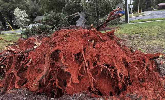 A downed tree is seen on Tuckaseegee Rd after Hurricane Helen passed the area Friday, Sept. 27, 2024 in Charlotte, N.C. (Diamond Vances/The Charlotte Observer via AP)