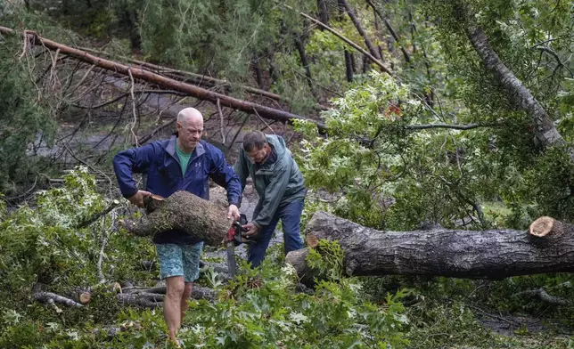 Chris Elder carries sections of a fallen tree as neighbor, Mike Cioffoletti works a chain saw to cut down a large tree that fell over Sandy Cove Drive, after Hurricane Helene passed the area Friday, Sept. 27, 2024 in Morganton, N.C. (AP Photo/Kathy Kmonicek)
