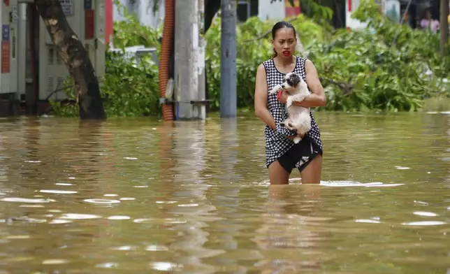 A woman carrying her dog wades in a flooded street in the aftermath of Typhoon Yagi, in Hanoi, Vietnam on Thursday, Sept. 12, 2024. (AP Photo/Hau Dinh)