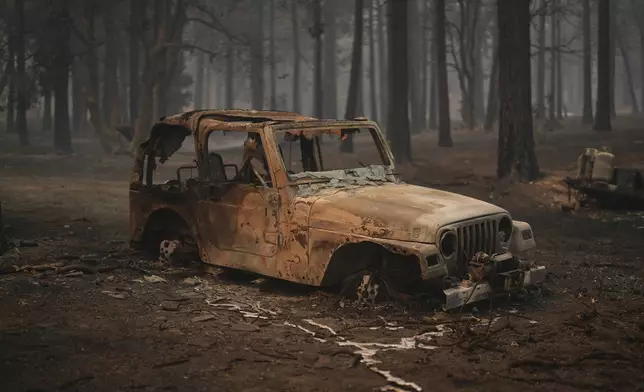 A vehicle and surrounding forest are burned after the Bridge Fire swept through Wednesday, Sept. 11, 2024, in Wrightwood, Calif. (AP Photo/Eric Thayer)