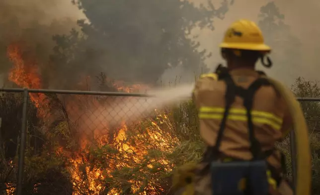 A firefighter douses flames in the perimeter of a property while battling the Bridge Fire Wednesday, Sept. 11, 2024, in Wrightwood, Calif. (AP Photo/Eric Thayer)