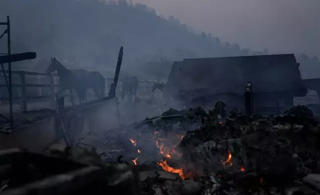 Horses stand near stables consumed by the Bridge Fire in Wrightwood, Calif., Wednesday, Sept. 11, 2024. (AP Photo/Jae C. Hong)