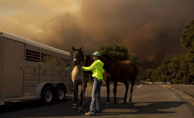 A person moves horses into a trailer as the Airport Fire closes in Tuesday, Sept. 10, 2024, in El Cariso, an unincorporated community in Riverside County, Calif. (AP Photo/Etienne Laurent)