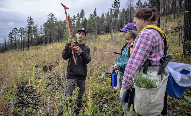 In this photo provided by the The Nature Conservancy, volunteers and members of the Hermit's Peak Watershed Alliance plant seedlings on the Hermit's Peak/Calf Canyon Fire burn scar near Mora, N.M., Saturday, Sept. 21, 2024. Pictured is Estevan Gonzales, left, giving instructions to volunteers Crystal K. Western Ford, center, and Star Ford. (Roberto E. Rosales/The Nature Conservancy via AP)