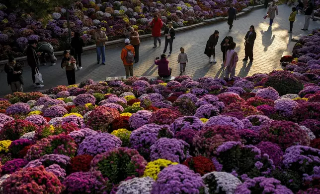 Residents gather near flower blossoms as they take an evening walk at a public park in Beijing, Monday, Oct. 21, 2024. (AP Photo/Andy Wong)