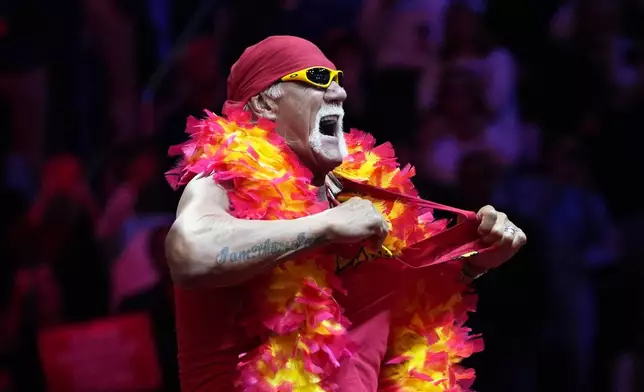 Hulk Hogan rips his shirt at a campaign rally for Republican presidential nominee former President Donald Trump at Madison Square Garden, Sunday, Oct. 27, 2024, in New York. (AP Photo/Julia Demaree Nikhinson)