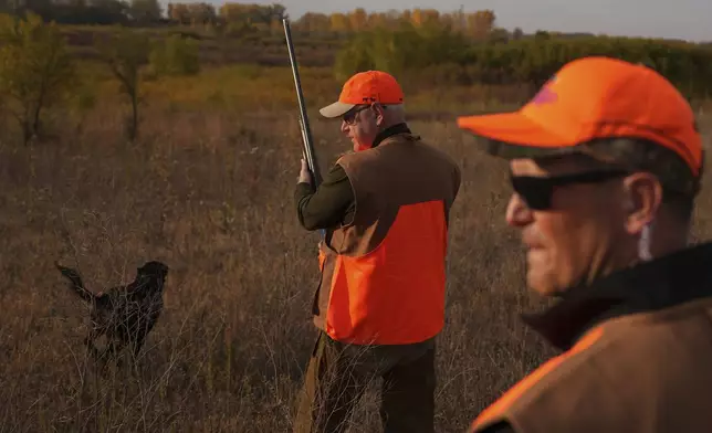 Flanked by his Secret Service detail, Tim Walz, Minnesota governor and Democratic vice presidential candidate, takes part in the annual Minnesota Governor's Pheasant Hunting Opener near Sleepy Eye, Minn., Saturday, Oct. 12, 2024. (Anthony Souffle/Star Tribune via AP)