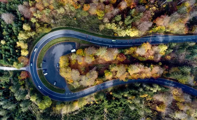 Cars drive around a curve in a forest of the Taurus region near Frankfurt, Germany, Monday, Oct. 28, 2024. (AP Photo/Michael Probst)