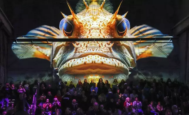 Visitors watch the audiovisual presentation Ocean Odyssey, projected on the walls of a former steelworks at the Phoenix des Lumieres exhibition in Dortmund, Germany, Friday, Oct. 4, 2024. (AP Photo/Martin Meissner)