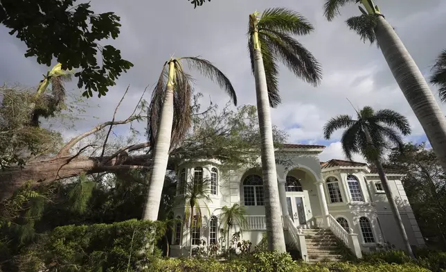 A tree toppled by Hurricane Milton lies atop a stately home in Siesta Key, Fla., Thursday, Oct. 10, 2024. (AP Photo/Rebecca Blackwell)