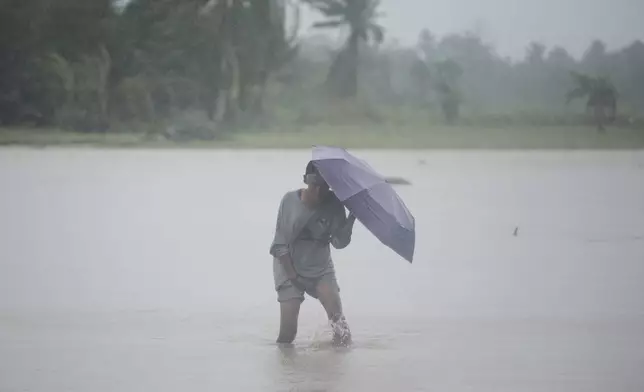 A man crosses a flooded rice field during rains on Thursday Oct. 24, 2024 after Tropical Storm Trami, locally named Kristine, dumped heavy rains at Libon town, Albay province, Philippines. (AP Photo/John Michael Magdasoc)