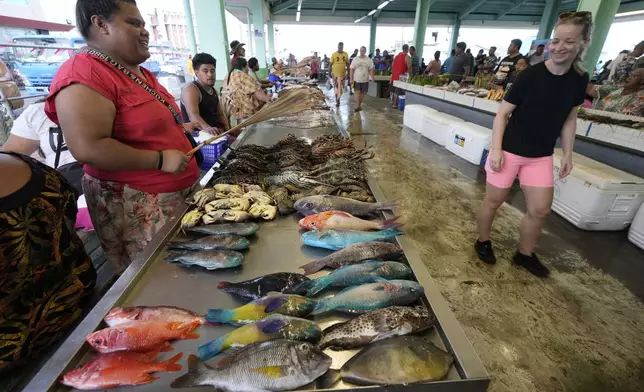 Colorful fish are displayed for sale at the fish market in Apia, Samoa, on Sunday, Oct. 20, 2024. (AP Photo/Rick Rycroft)