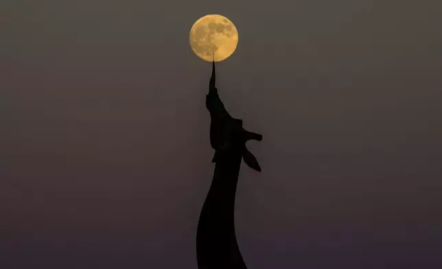 A 99% full waxing supermoon rises above a statue of a giraffe at the Dallas Zoo, Wednesday, Oct. 16, 2024, in Dallas. (AP Photo/Julio Cortez)