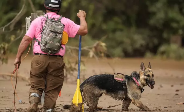 A search and rescue dog and handler searches for victims in deep mud in the aftermath of Hurricane Helene, Tuesday, Oct. 1, 2024, in Swannanoa, N.C. (AP Photo/Mike Stewart)