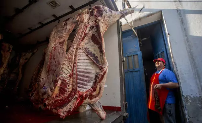 A butcher looks at fresh meat that arrived to sell at the shop where they accept "chacho" currency as payment in La Rioja, Argentina, Wednesday, Sept. 25, 2024. In response to slashed federal budgets to provinces, La Rioja is printing a new emergency tender called "chachos" to pay state workers and spur the economy. (AP Photo/Natalia Diaz)