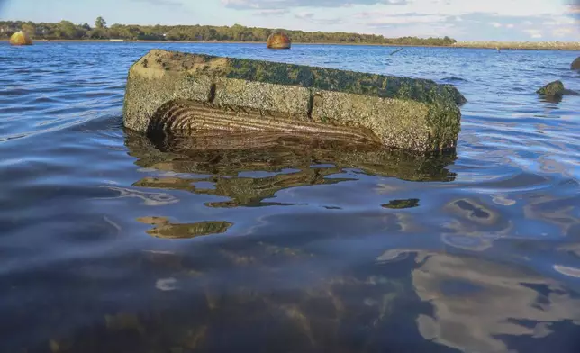 An artificial tide pool cast from "Econcrete" creates a habitat for living creatures shown partially submerged on one of the on eight, eco-friendly Living Breakwaters at the southernmost tip of New York City, off the coast of Staten Island, Wednesday, Oct. 9, 2024. (AP Photo/Cedar Attanasio)