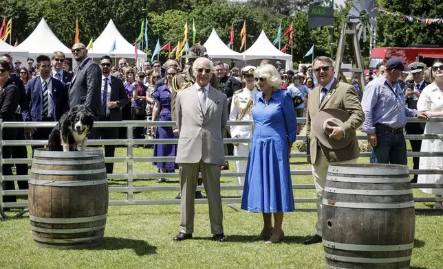 Britain's King Charles III and Queen Camilla view a sheep dog demonstration during the Premier's Community BBQ on Tuesday Oct. 22, 2024 in Sydney, Australia. (Brook Mitchell/Pool Photo via AP)