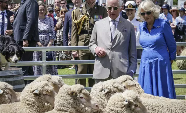 Britain's King Charles III and Queen Camilla view a sheep dog demonstration during the Premier's Community BBQ on Tuesday Oct. 22, 2024 in Sydney, Australia. (Brook Mitchell/Pool Photo via AP)