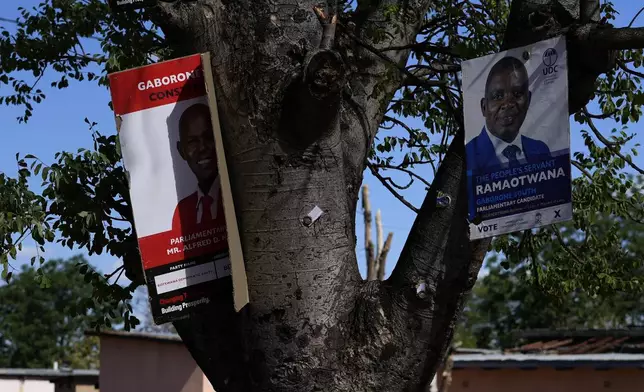 Posters showing election party candidates, a day before elections in Gaborone, Botswana, Tuesday, Oct. 29, 2024. (AP Photo/Themba Hadebe)