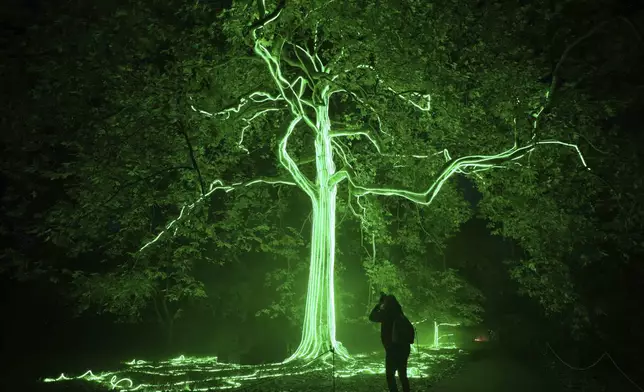 Lights installations are lit up during the media preview of a new Halloween light trail in Kew Gardens, in London, Thursday, Oct. 17, 2024. (AP Photo/Kin Cheung)