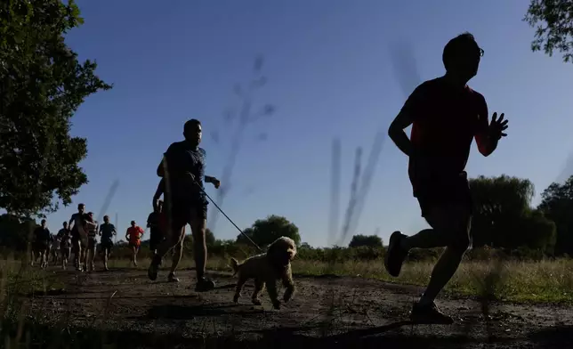 Runners and their dogs, compete in the parkrun event in Bushy Park, southwest London, Saturday, Sept. 28, 2024. (AP Photo/Alastair Grant)