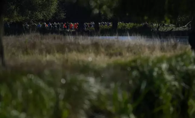 Runners compete in the parkrun event in Bushy Park, southwest London, Saturday, Sept. 28, 2024. (AP Photo/Alastair Grant)