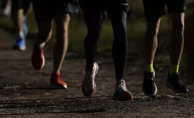 Runners compete in the parkrun event in Bushy Park, southwest London, Saturday, Sept. 28, 2024. (AP Photo/Alastair Grant)