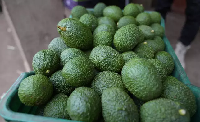 A crate of avocados at a packing facility in Kayanza province, Burundi, Sept. 18, 2024. (AP Photo/Brian Inganga)