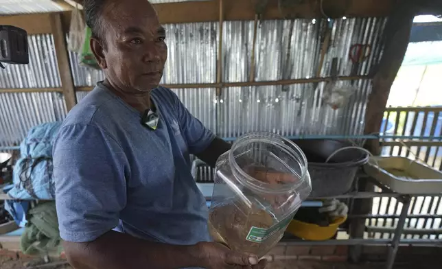 Eel farmer Em Phat, 53, works in his eel rearing place at Tonle Sap complex, north of Phnom Penh, Cambodia, Wednesday, July 31, 2024. (AP Photo/Heng Sinith)