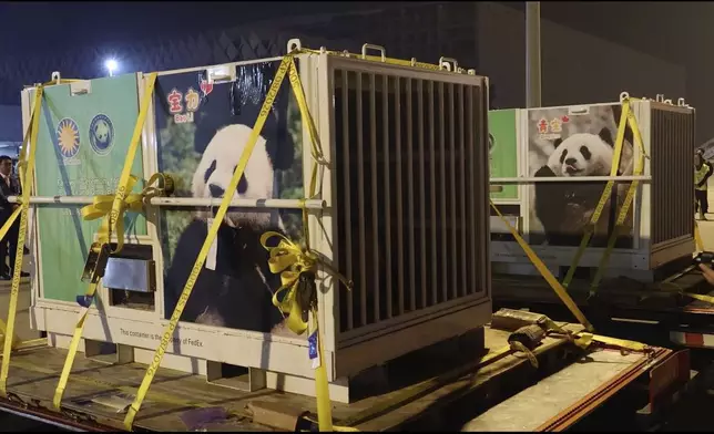 In this image taken from video and released by China's National Forestry and Grassland Administration, a pair of giant pandas Bao Li and Qing Bao are prepared for loading onto a plane at the Chengdu Shuangliu International Airport in southwestern China's Sichuan province on Monday, Oct. 14, 2024. (Jin Tao/China's National Forestry and Grassland Administration via AP)