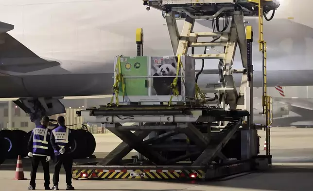 In this image taken from video and released by China's National Forestry and Grassland Administration, a cage containing female giant panda Qing Bao is loaded onto a plane at the Chengdu Shuangliu International Airport in southwestern China's Sichuan province on Monday, Oct. 14, 2024. (Jin Tao/China's National Forestry and Grassland Administration via AP)