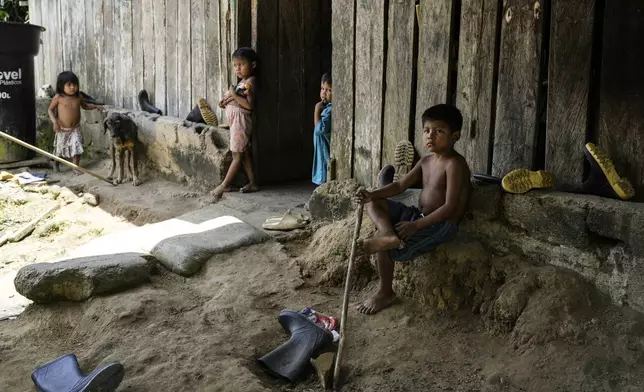 Indigenous children of the Embera community play outside of their home within El Guayacan nature reserve in San Isidro, Colombia, Tuesday, September 24, 2024. (AP Photo/Ivan Valencia)