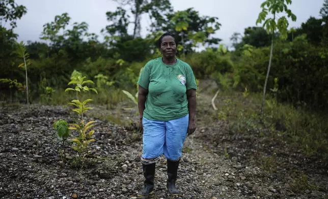 Nereida Romana, part of Asociacion Nuestra Casa Comun, or Our Community House Association, poses for a photo while reforesting an area near Paimado, Colombia, Tuesday, Sept. 24, 2024. (AP Photo/Ivan Valencia)