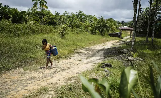 An Indigenous woman from the Embera community walks through El Guayacan nature reserve in San Isidro, Colombia, Tuesday, Sept. 24, 2024. (AP Photo/Ivan Valencia)