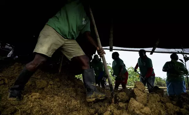 A group of women, part of Nuestra Casa Comun association, work reforesting an area destroyed by illegal mining, near Paimado, Colombia, Tuesday, Sept. 24, 2024. (AP Photo/Ivan Valencia)