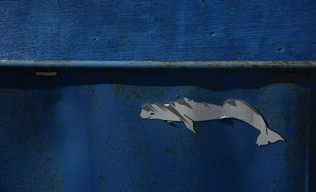 An old beluga whale decal peels off the side of an old boat Thursday, Aug. 8, 2024, in Churchill, Manitoba. (AP Photo/Joshua A. Bickel)