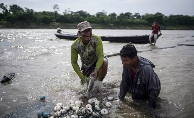 Men from the Cocama Indigenous community fish in the Amazon River amid a drought on the outskirts of Leticia, Colombia, Monday, Oct. 21, 2024. (AP Photo/Ivan Valencia)