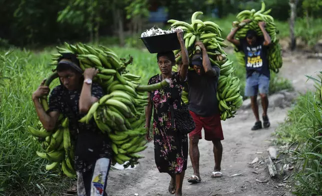 A group of men and a woman carry bananas and fish from the port, in Leticia, Colombia, Monday, Oct. 21, 2024. (AP Photo/Ivan Valencia)