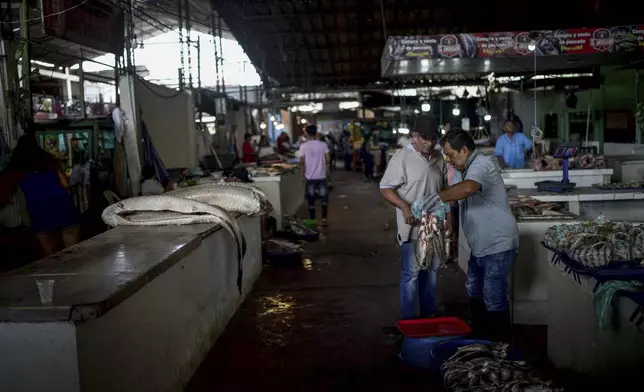 A person buys fish in the market square, in Leticia, Colombia, Monday, Oct. 21, 2024. (AP Photo/Ivan Valencia)