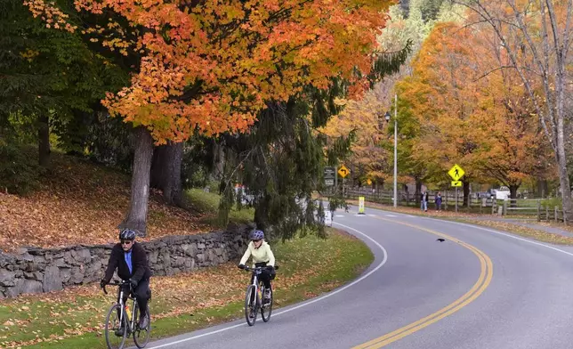 FILE - Two cyclists trek uphill, passing trees changing to Autumn colors, Oct. 10, 2024, in Woodstock, Vt. (AP Photo/Charles Krupa, File)