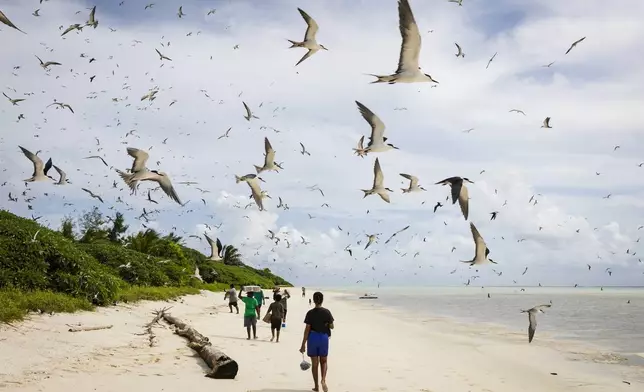 Goods that were brought to Helen Island, Palau, are carried through low tide to the ranger station on July 17, 2024. (AP Photo/Yannick Peterhans)