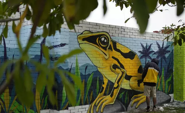 An artist puts the finishing touches on a mural a day ahead of the COP16 United Nations biodiversity conference, in host city Cali, Colombia, Saturday, Oct. 19, 2024. (AP Photo/Fernando Vergara)