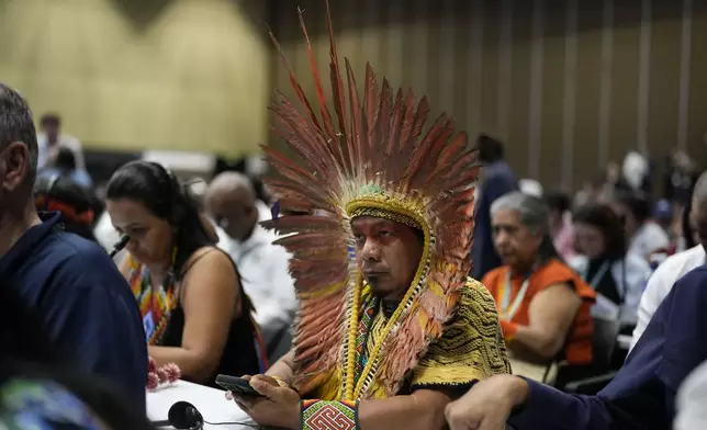 An Indigenous Brazilian delegate attends the opening ceremony of COP16, a United Nations' biodiversity conference, in Cali, Colombia, Sunday, Oct. 20, 2024. (AP Photo/Fernando Vergara)