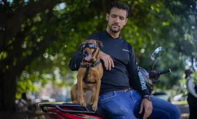 Rescued dog Koffee sits on the motorcycle next to his new caretaker Leandro Valdes during an interview in Havana, Cuba, Friday, Oct. 4, 2024. (AP Photo/Ramon Espinosa)