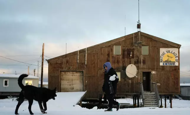 A neighborhood dog approaches a villager walking past the Kaktovik Native Village office in Kaktovik, Alaska, Tuesday, Oct. 15, 2024. (AP Photo/Lindsey Wasson)